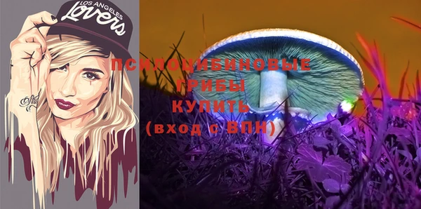 экстази Козельск
