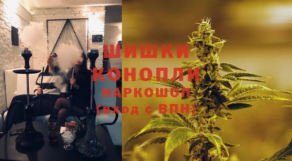 прущие крисы Кодинск