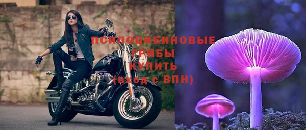 прущие крисы Кодинск