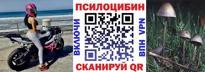 Галлюциногенные грибы мицелий Купить где Бугульма